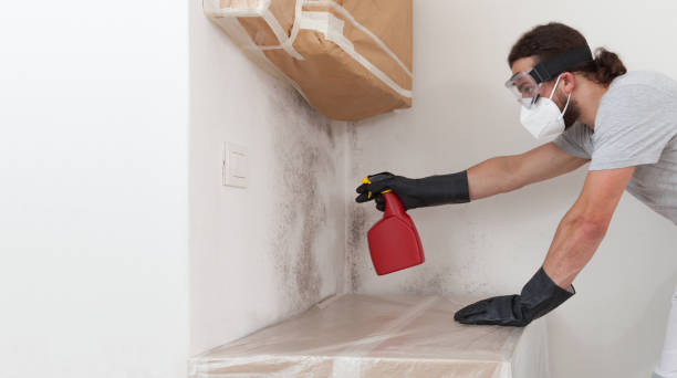 Professional Basement Mold Remediation technician working in Downingtown, PA