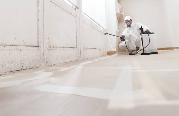 24/7 Emergency Basement Mold Remediation experts in Downingtown, PA