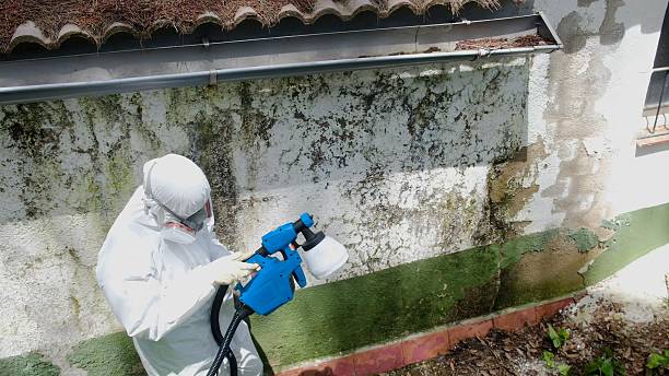 Top rated local Basement Mold Remediation specialists in Downingtown, PA